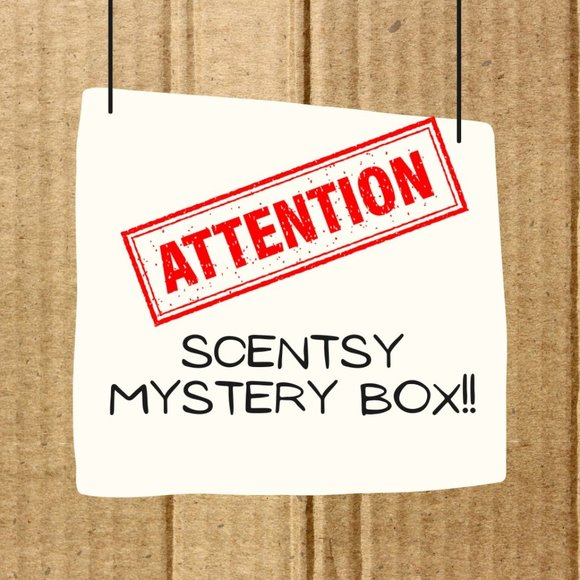 Scentsy Accents Myster Box Containing Scentsy Products Poshmark